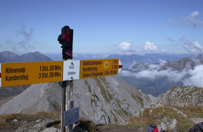 ganz weit oben